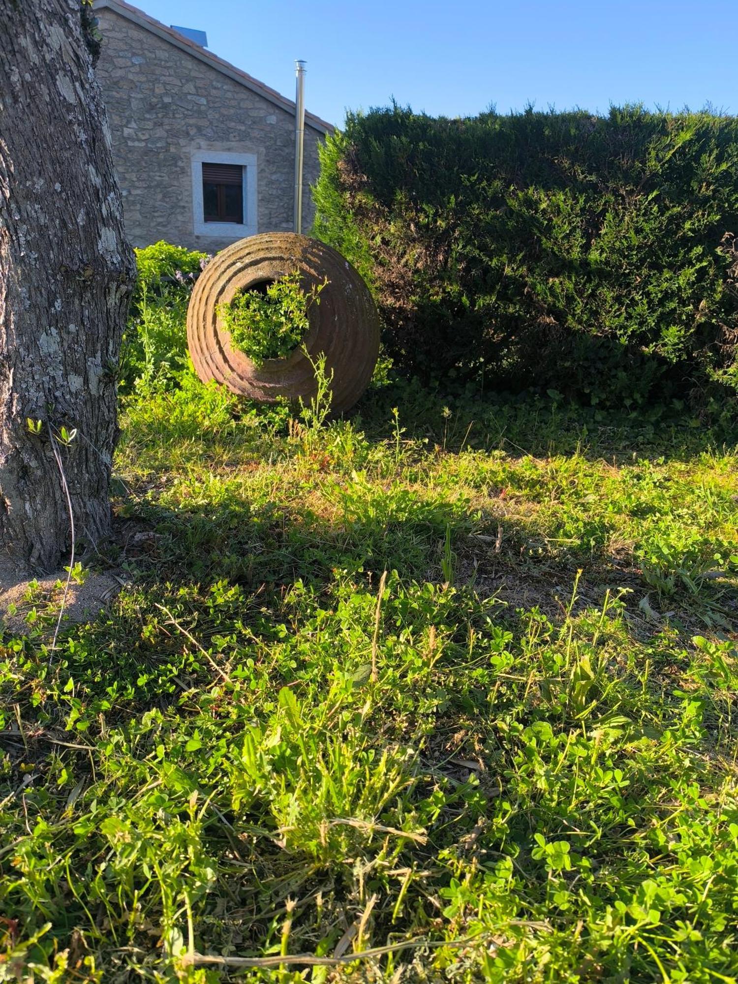 Cabanas Miraduero Aldeadávila de la Ribera Екстериор снимка